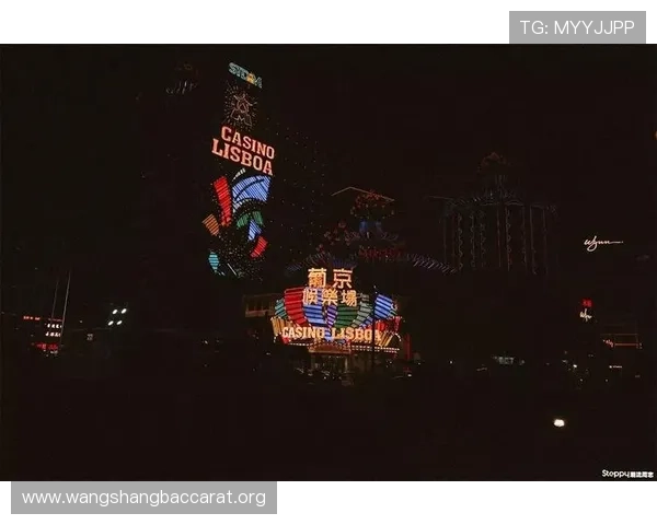 澳门新葡京百家乐赢率分析，提升你的胜率策略与实战技巧分享